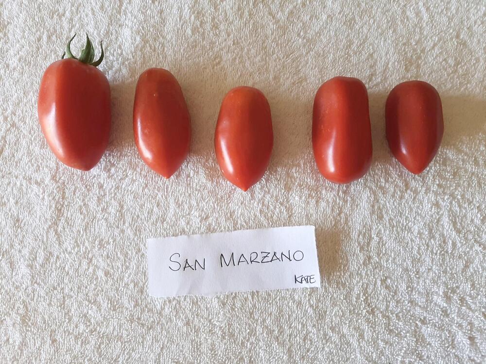 San Marzano